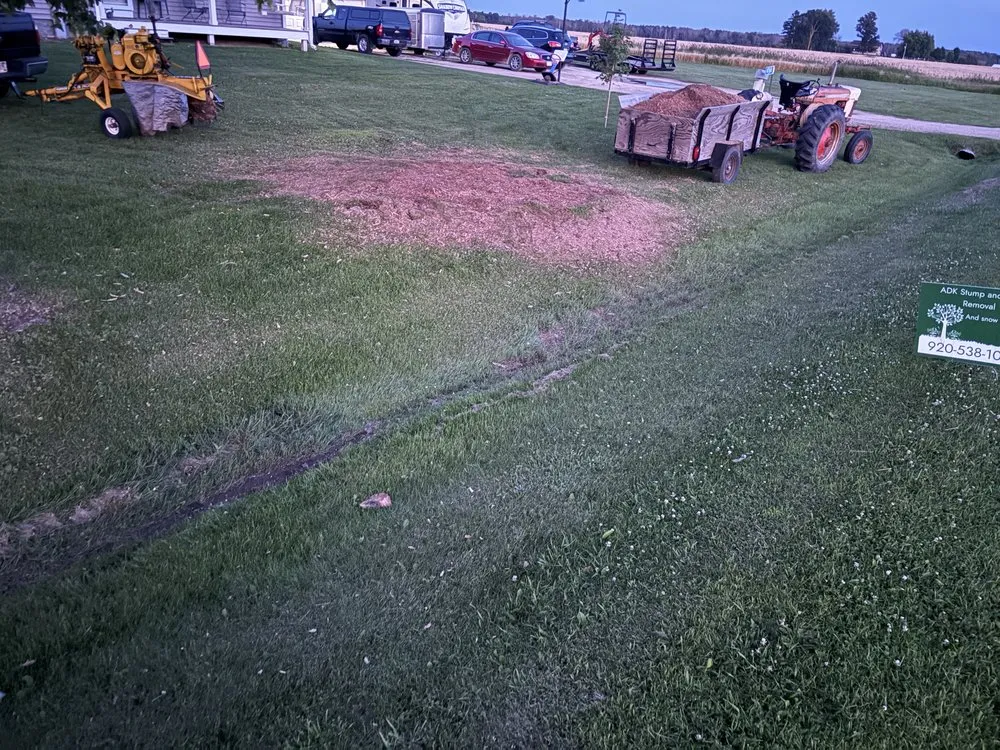 Expert yard cleanup service experts serving Manawa, WI - ADK Stump And Tree Removal