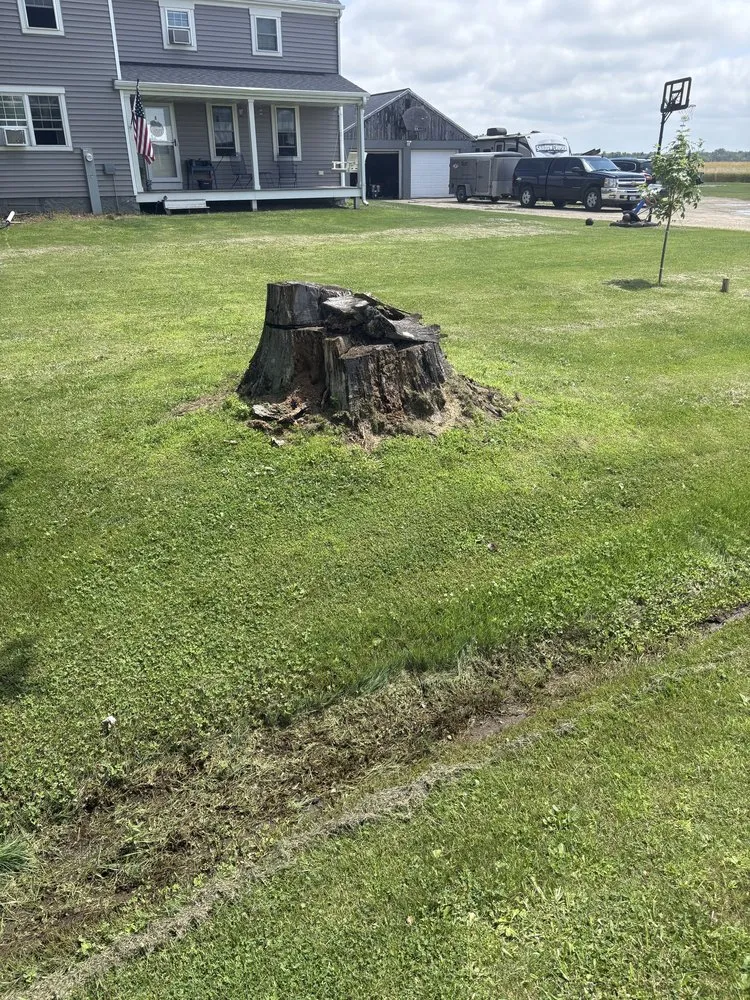 Professional lawn care service for residential properties in Manawa, WI by ADK Stump And Tree Removal