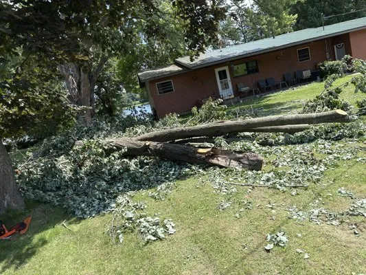 ADK Stump And Tree Removal