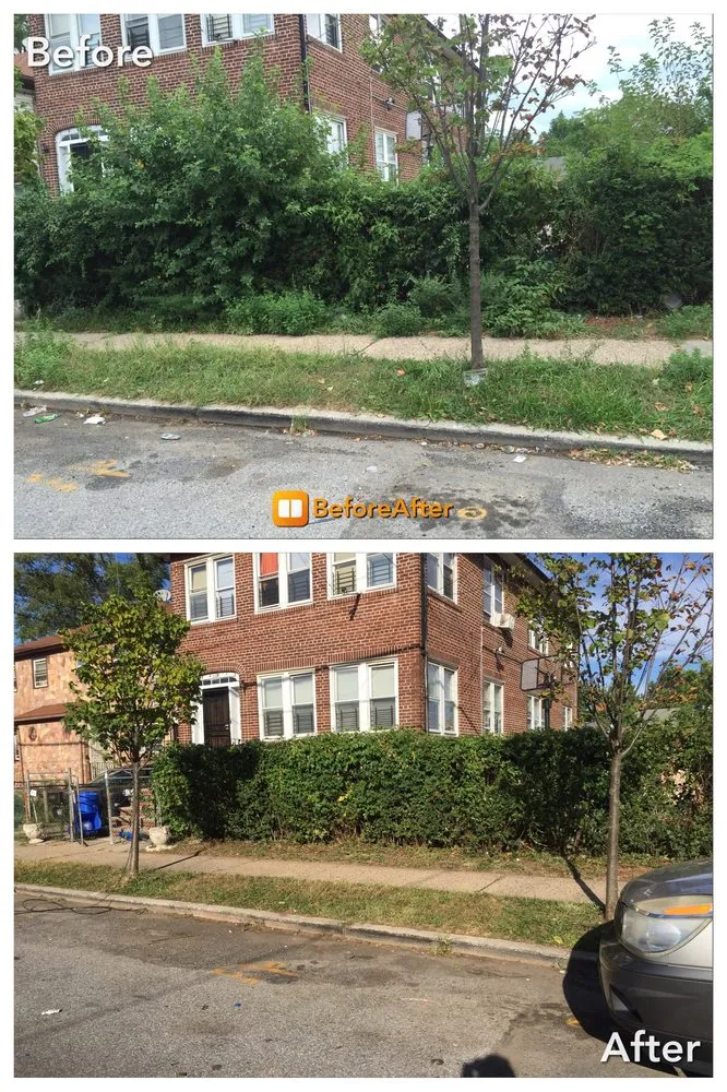 Top-rated lawn care service experts serving Brooklyn, NY - Adkins Landscape Contracting