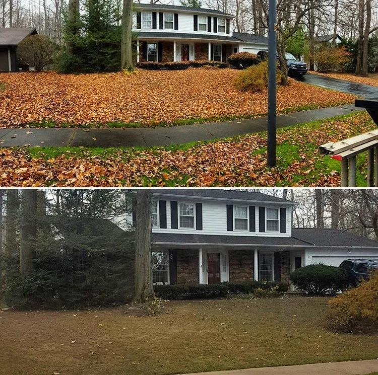 Trusted landscape design in Brooklyn, NY - Adkins Landscape Contracting