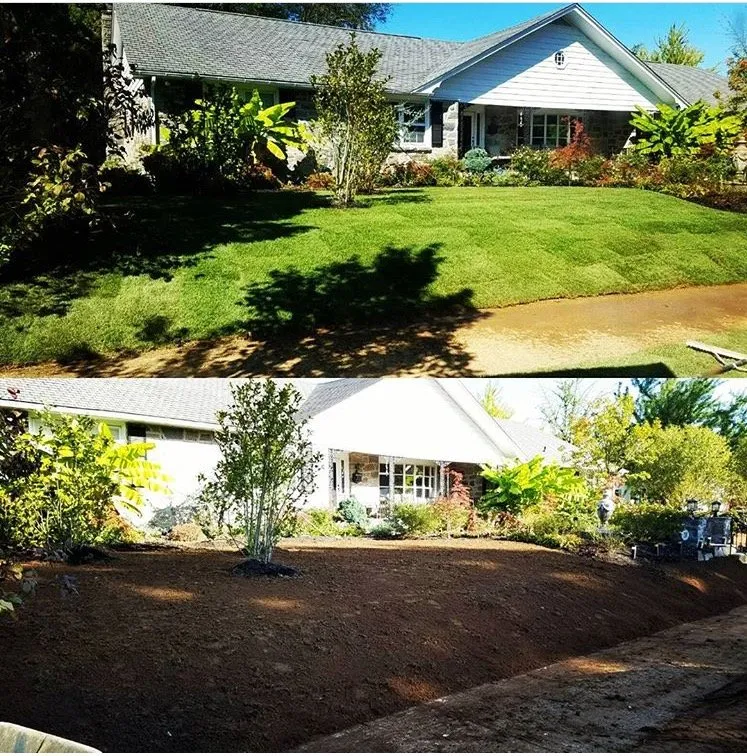 Trusted yard maintenance near you across Brooklyn, NY - Adkins Landscape Contracting