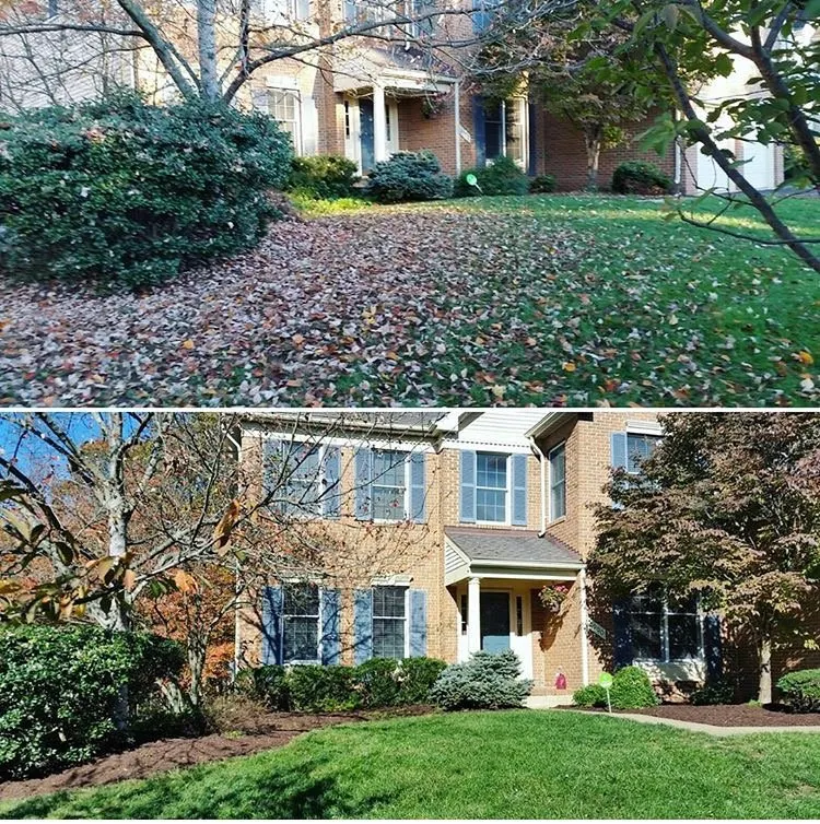 Custom yard maintenance for residential properties across Brooklyn, NY - Adkins Landscape Contracting