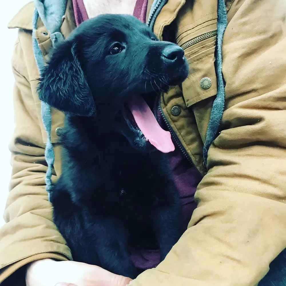 Reliable lawn mowing service in Vienna, VA - Adkins Landscapes