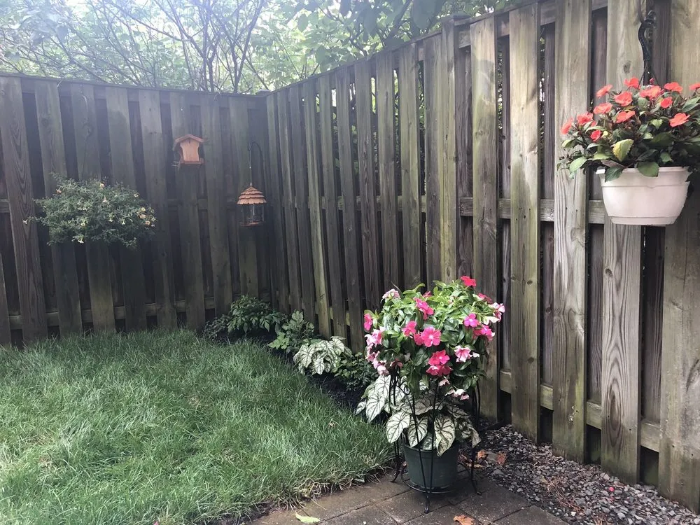 Reliable yard cleanup service in Vienna, VA by Adkins Landscapes