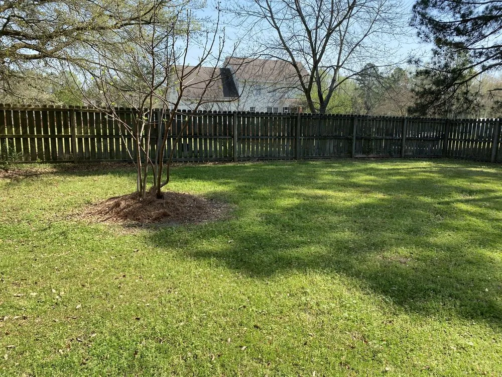 Custom garden landscaping experts serving Hectors Creek, NC - Adkins Lawn and Maintenance Group