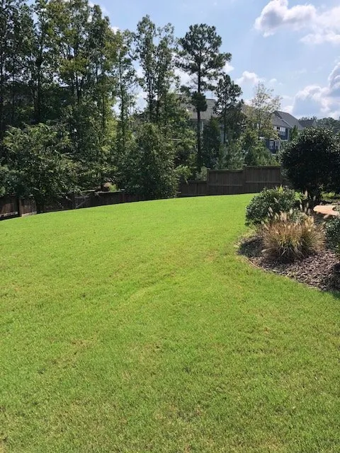 Custom landscaping services experts serving Hectors Creek, NC - Adkins Lawn and Maintenance Group