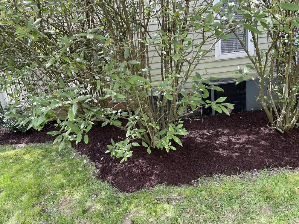 Trusted yard maintenance experts serving Huntington, WV - Adkins Lawn Care