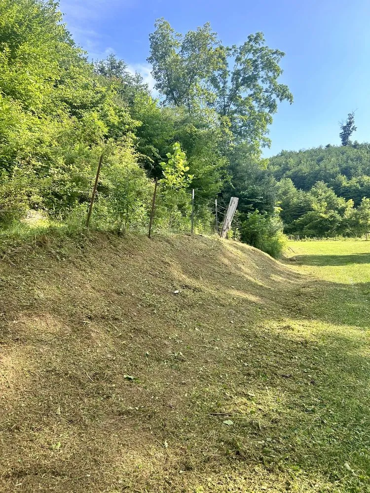 Reliable landscape installation for outdoor upgrades in Barboursville, WV by Adkins Mowing