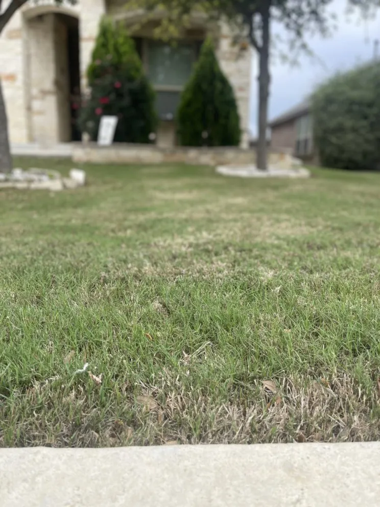 Professional lawn mowing service for year-round maintenance in San Antonio, TX by Adkins Mowing