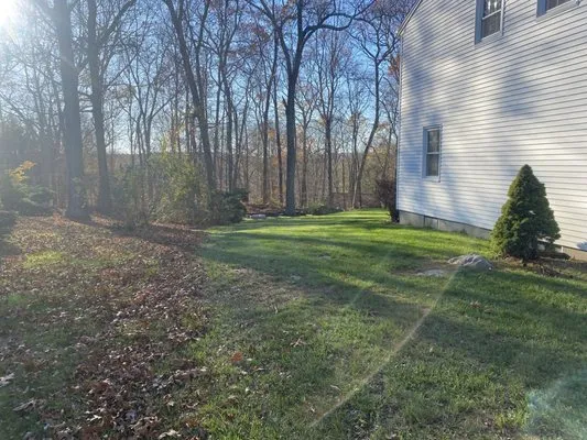 ADL Property Solutions