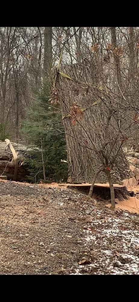 Custom residential landscaping for beautiful yards across Gibsonia, PA - Adler & Sons