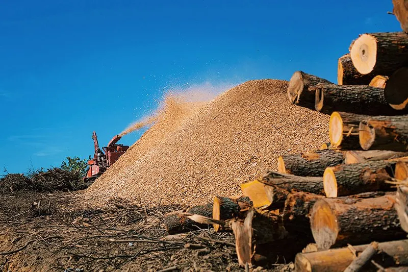 Expert landscape installation near you across Gibsonia, PA - Adler & Sons