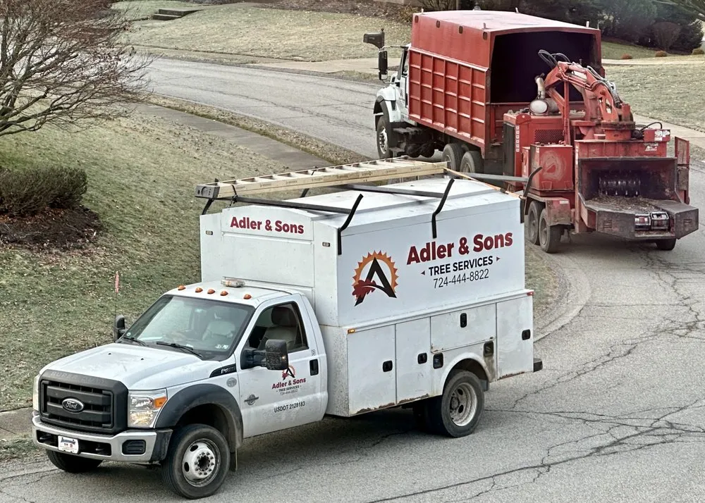 Local landscape design experts serving Gibsonia, PA - Adler & Sons