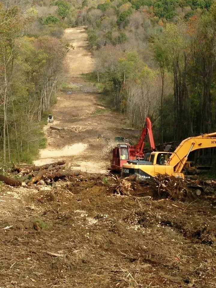 Custom landscape installation for homes across Gibsonia, PA - Adler & Sons