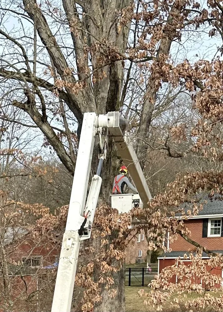 Top-rated lawn care service in Gibsonia, PA by Adler & Sons