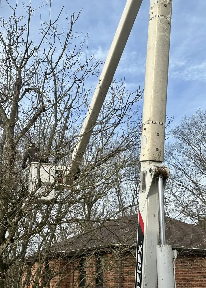 Local yard cleanup service in Gibsonia, PA by Adler & Sons