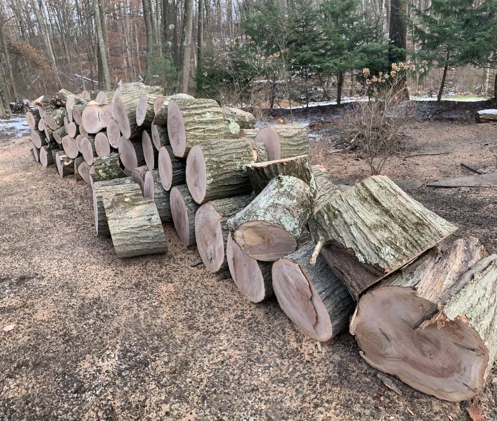 Reliable yard cleanup service in Gibsonia, PA by Adler & Sons