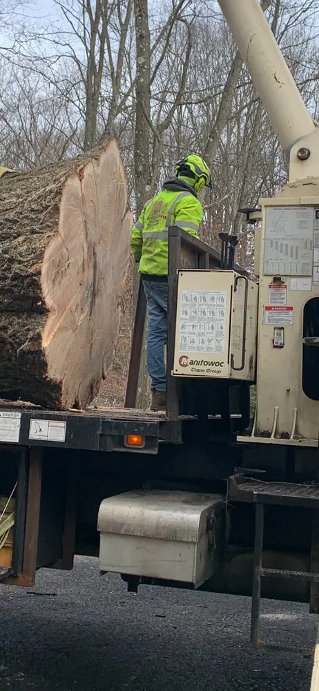 Affordable landscape design in Gibsonia, PA - Adler & Sons