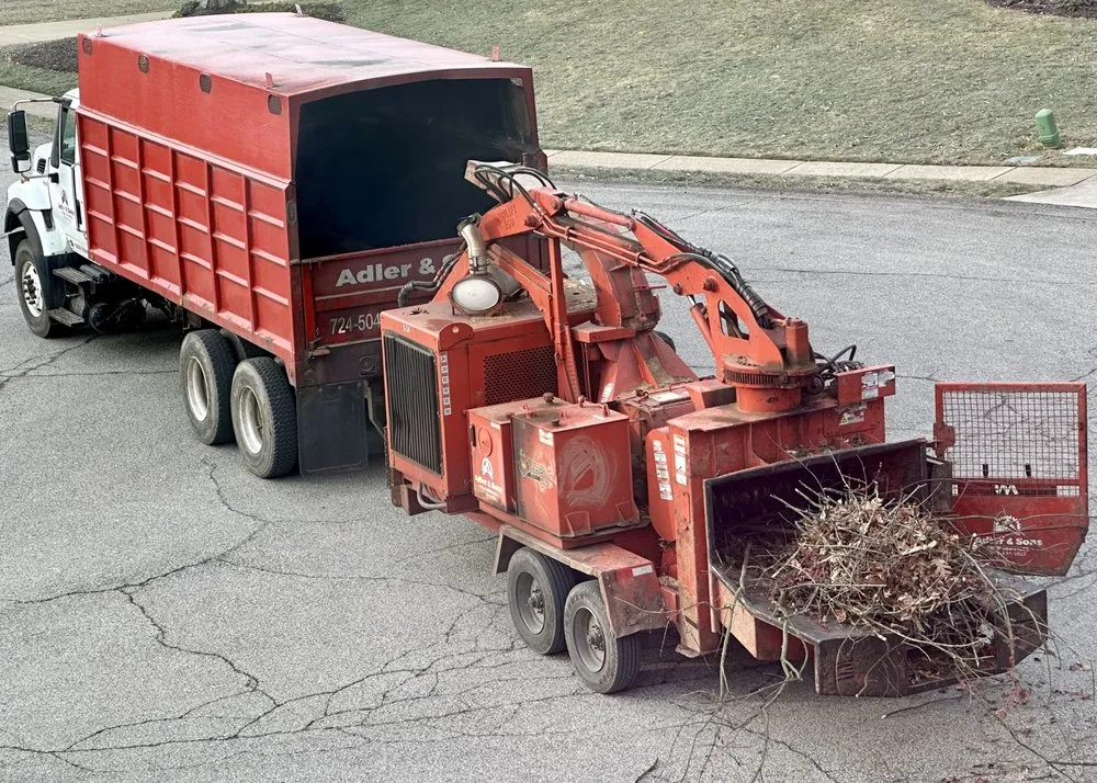 Professional outdoor landscaping in Gibsonia, PA by Adler & Sons