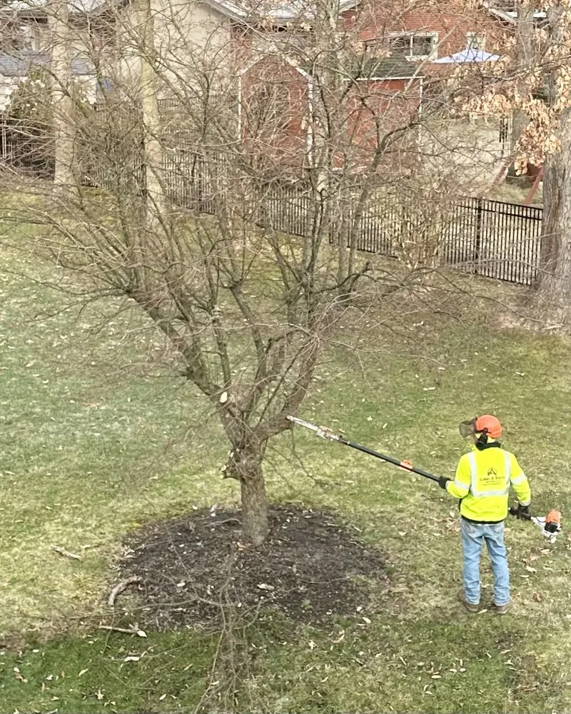 Local lawn care service in Gibsonia, PA - Adler & Sons