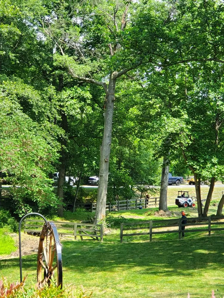 Affordable landscaping services for residential properties across Sterling, VA - ADM Tree Services & Landscaping