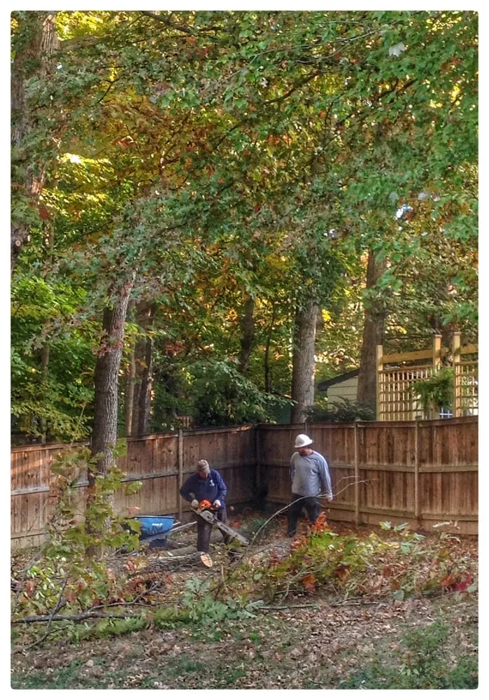 Affordable landscaping services in Sterling, VA by ADM Tree Services & Landscaping