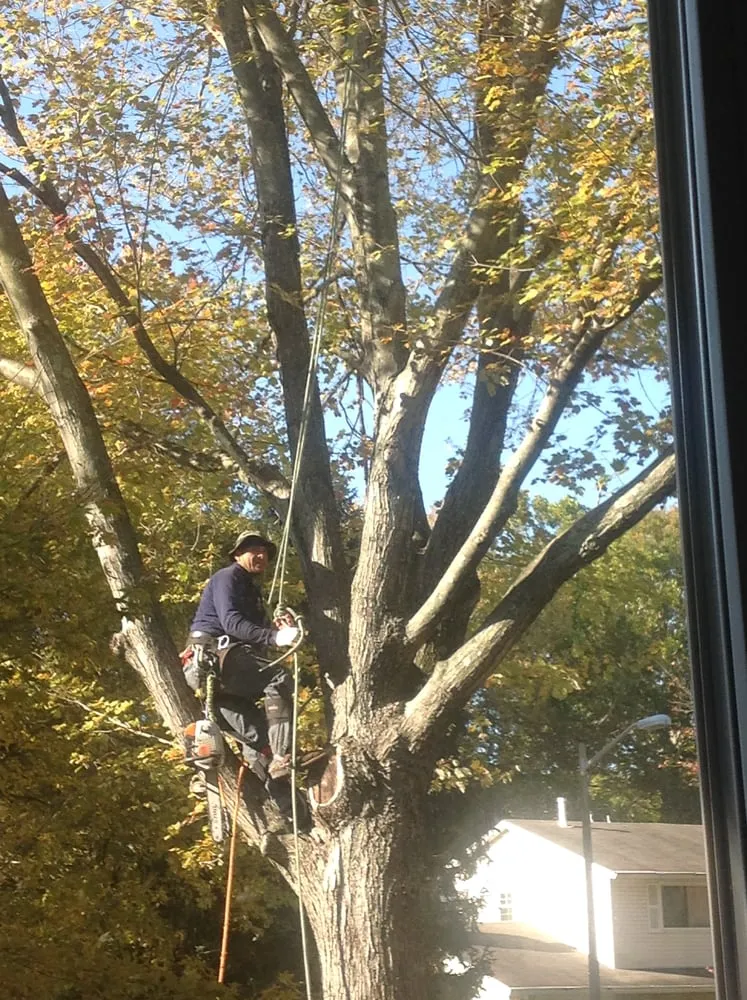 Local outdoor landscaping for homes in Sterling, VA by ADM Tree Services & Landscaping