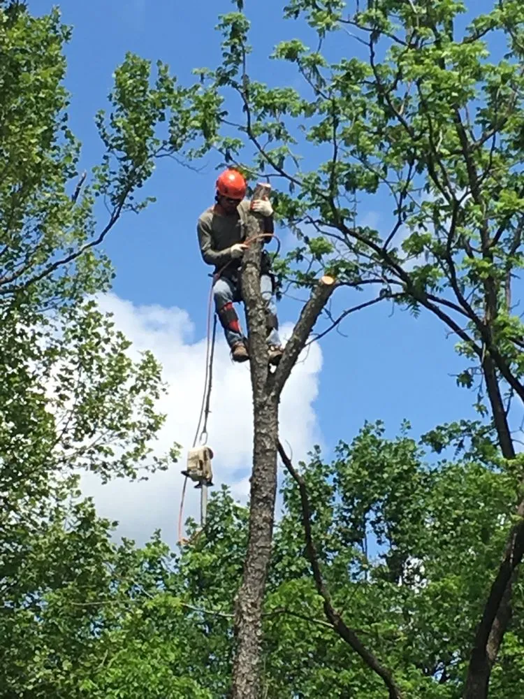 Top-rated lawn mowing service experts serving Sterling, VA - ADM Tree Services & Landscaping