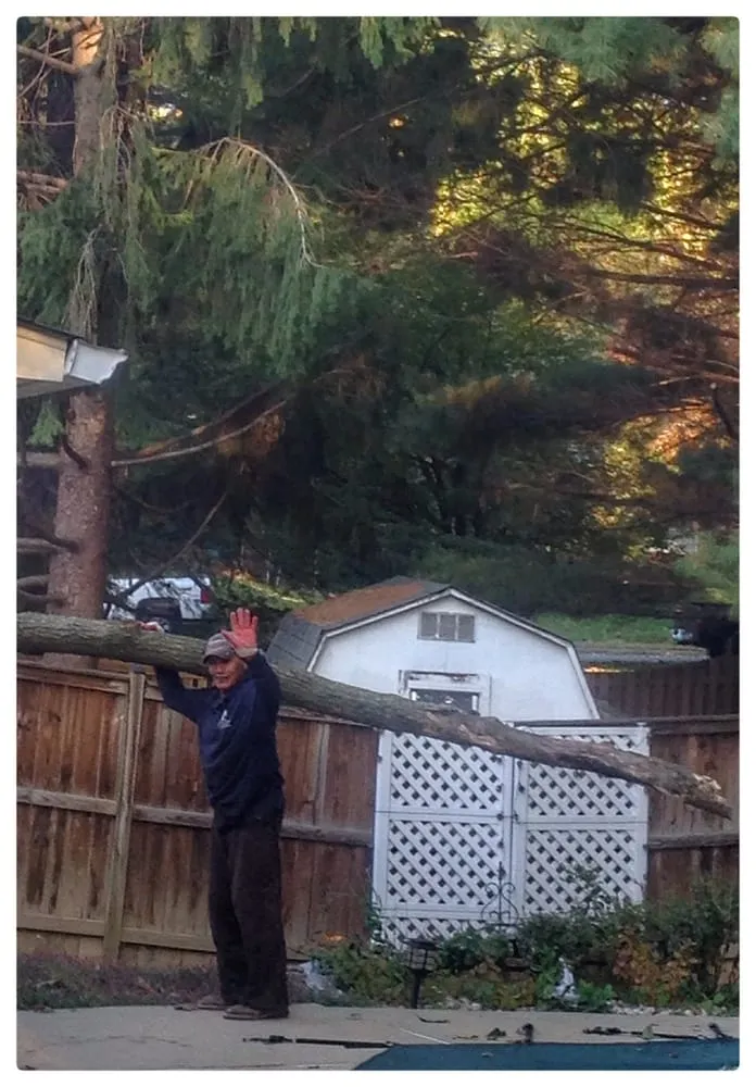 Custom landscape installation for outdoor upgrades across Sterling, VA - ADM Tree Services & Landscaping