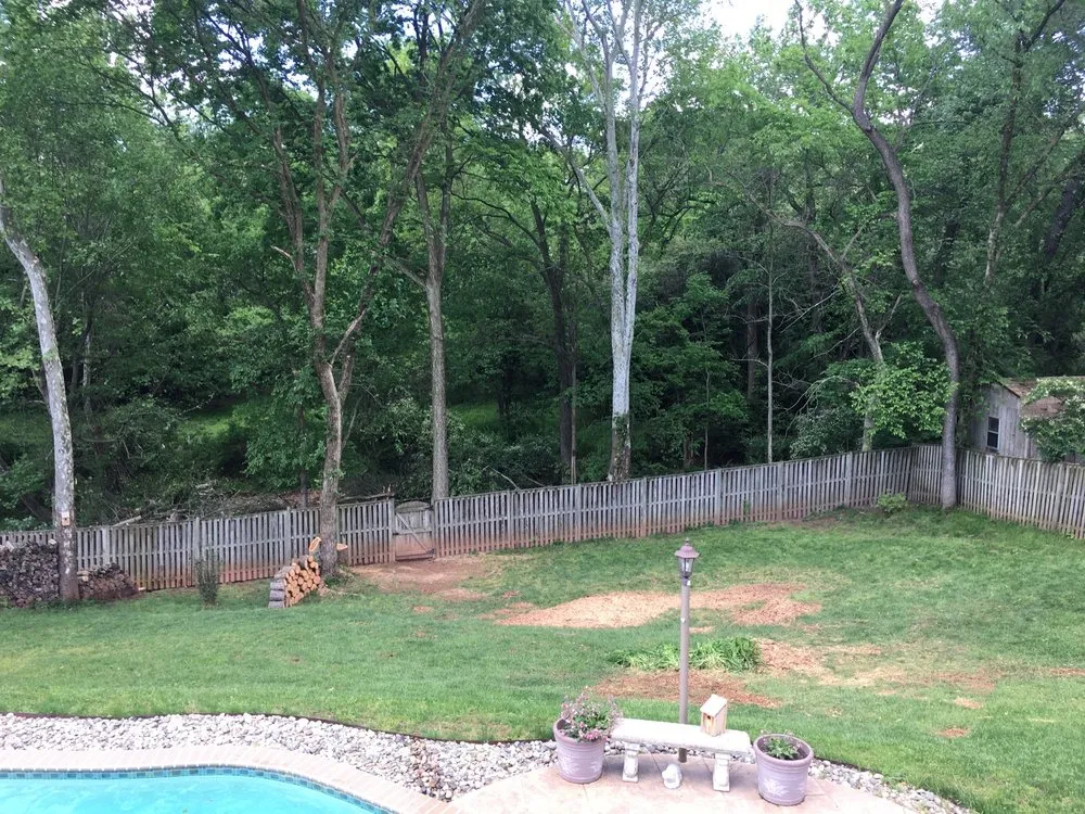 Affordable yard cleanup service in Sterling, VA by ADM Tree Services & Landscaping