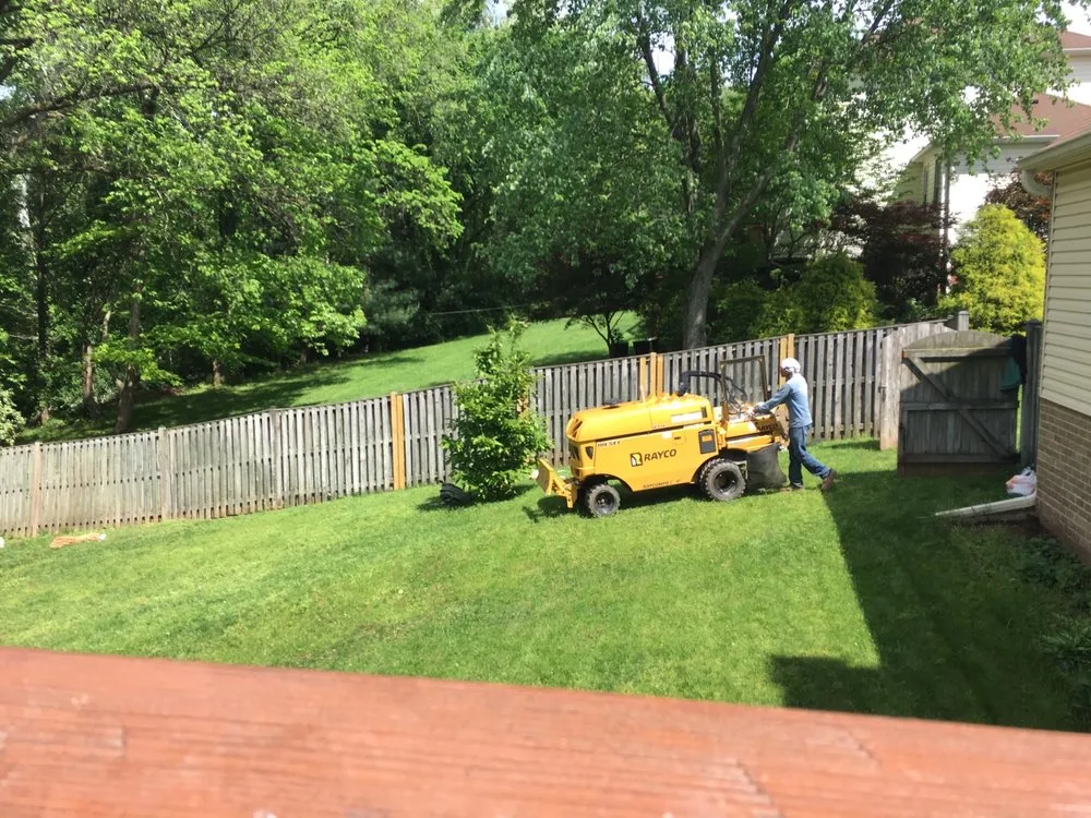 Expert yard maintenance for homes across Sterling, VA - ADM Tree Services & Landscaping
