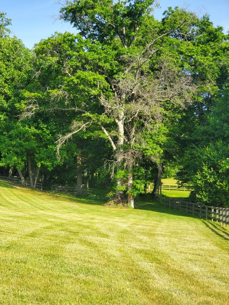 Trusted yard maintenance experts serving Sterling, VA - ADM Tree Services & Landscaping