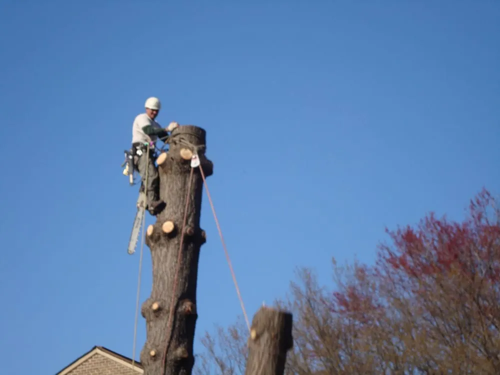 Custom landscaping services for homes in Sterling, VA by ADM Tree Services & Landscaping