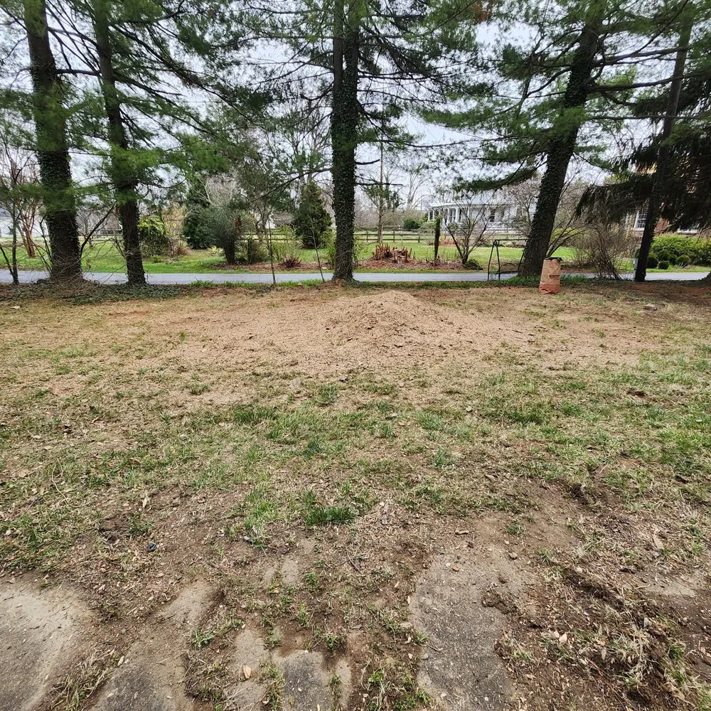 Professional yard maintenance in Sterling, VA - ADM Tree Services