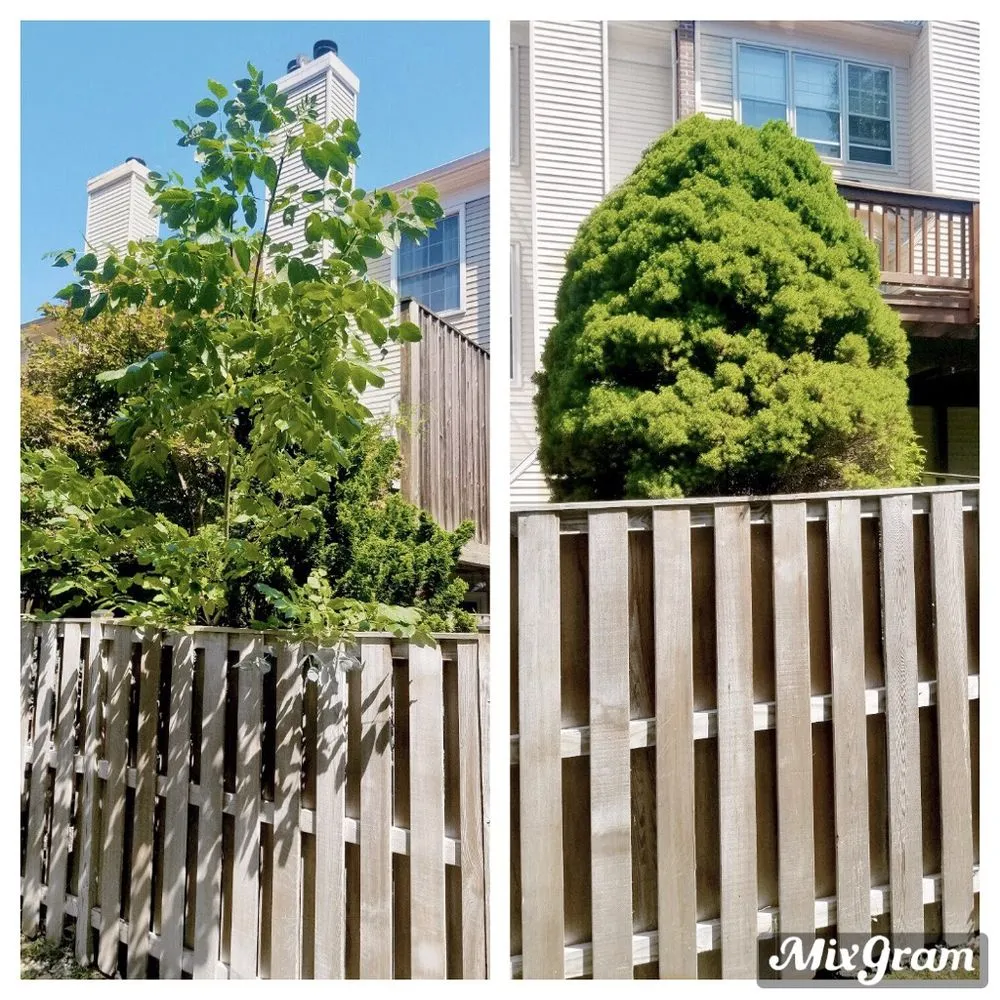 Top-rated residential landscaping experts serving Sterling, VA - ADM Tree Services