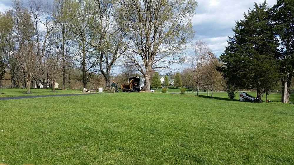 Local outdoor landscaping in Sterling, VA by ADM Tree Services