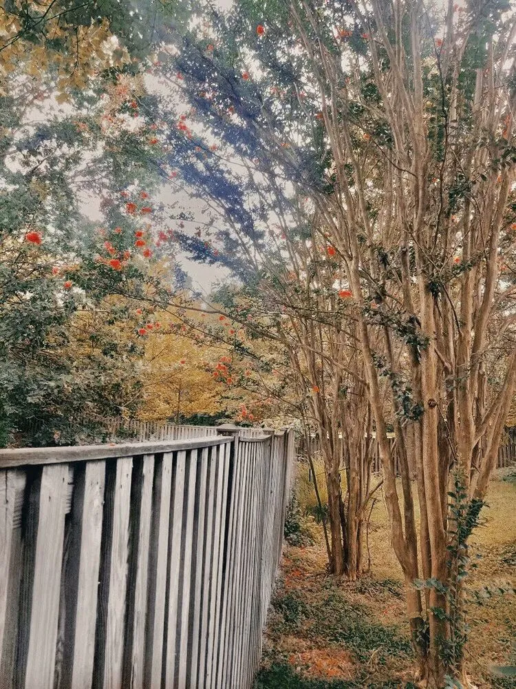 Local landscaping services in Sterling, VA - ADM Tree Services