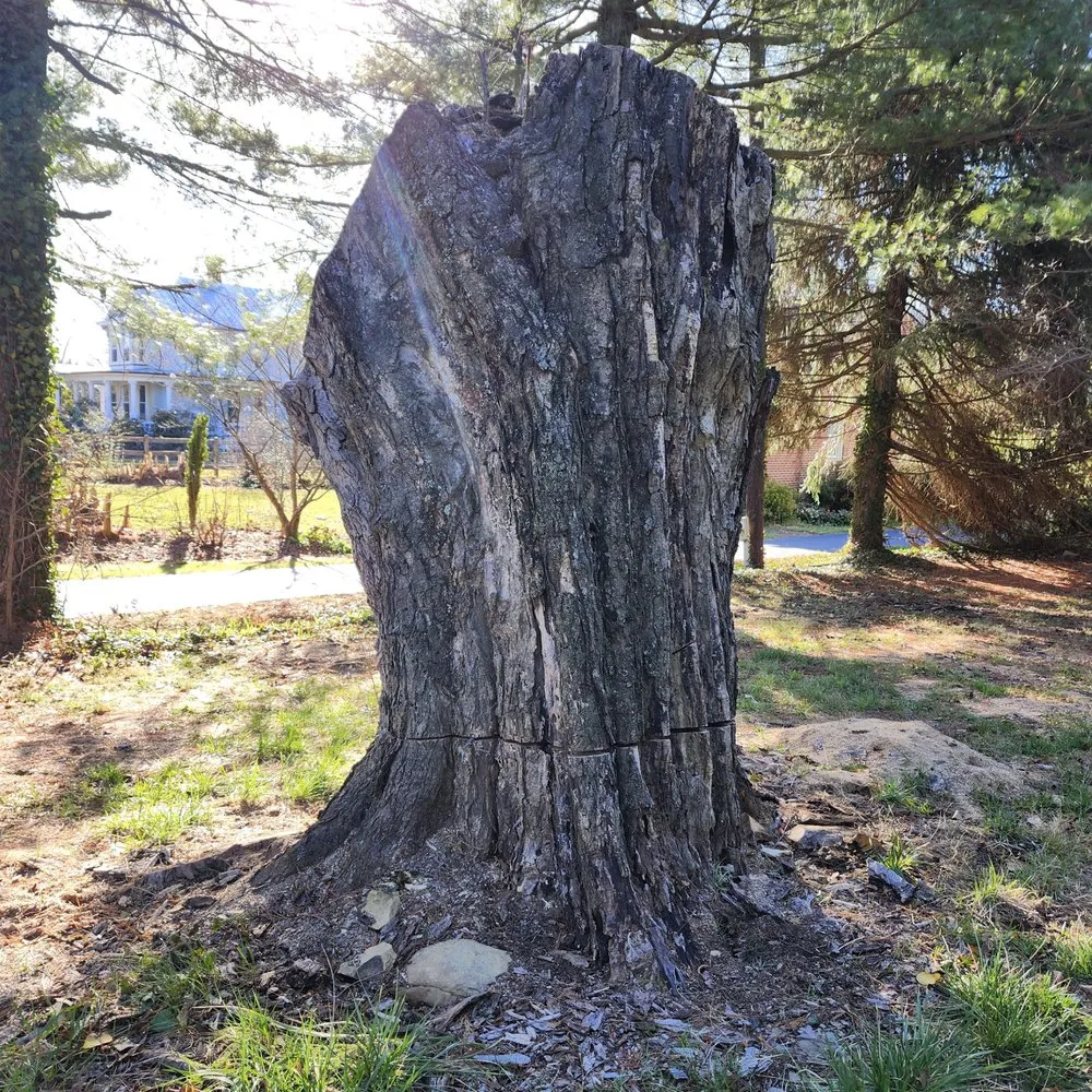 Expert outdoor landscaping for outdoor upgrades in Sterling, VA by ADM Tree Services