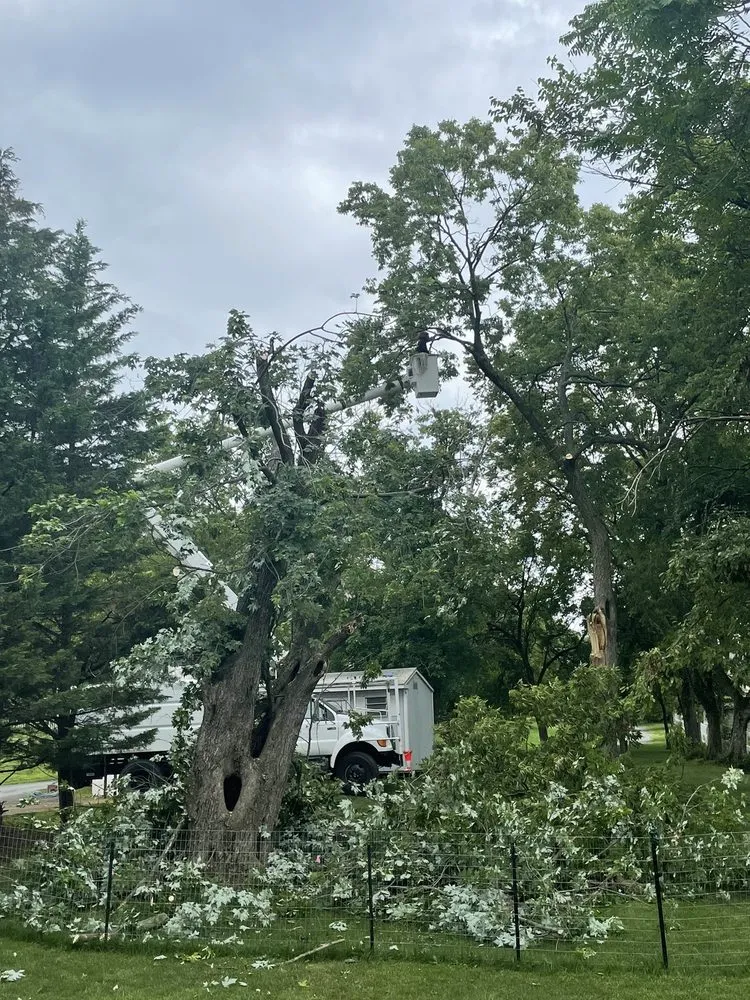 Top-rated outdoor landscaping experts serving Sterling, VA - ADM Tree Services