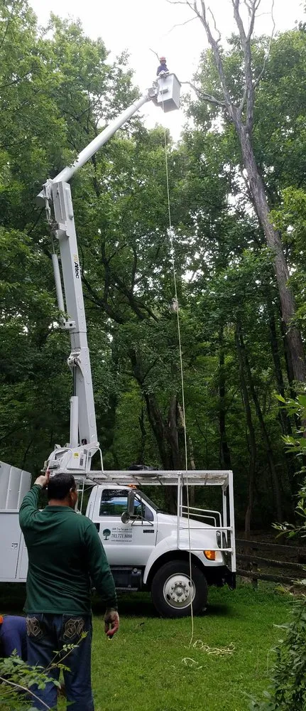 Affordable outdoor landscaping for homes across Sterling, VA - ADM Tree Services