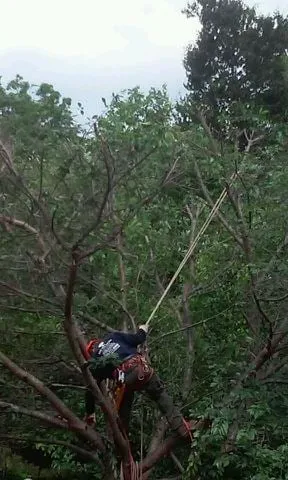 Affordable lawn mowing service in Sterling, VA - ADM Tree Services