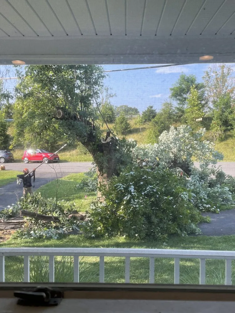 Local outdoor landscaping in Sterling, VA - ADM Tree Services