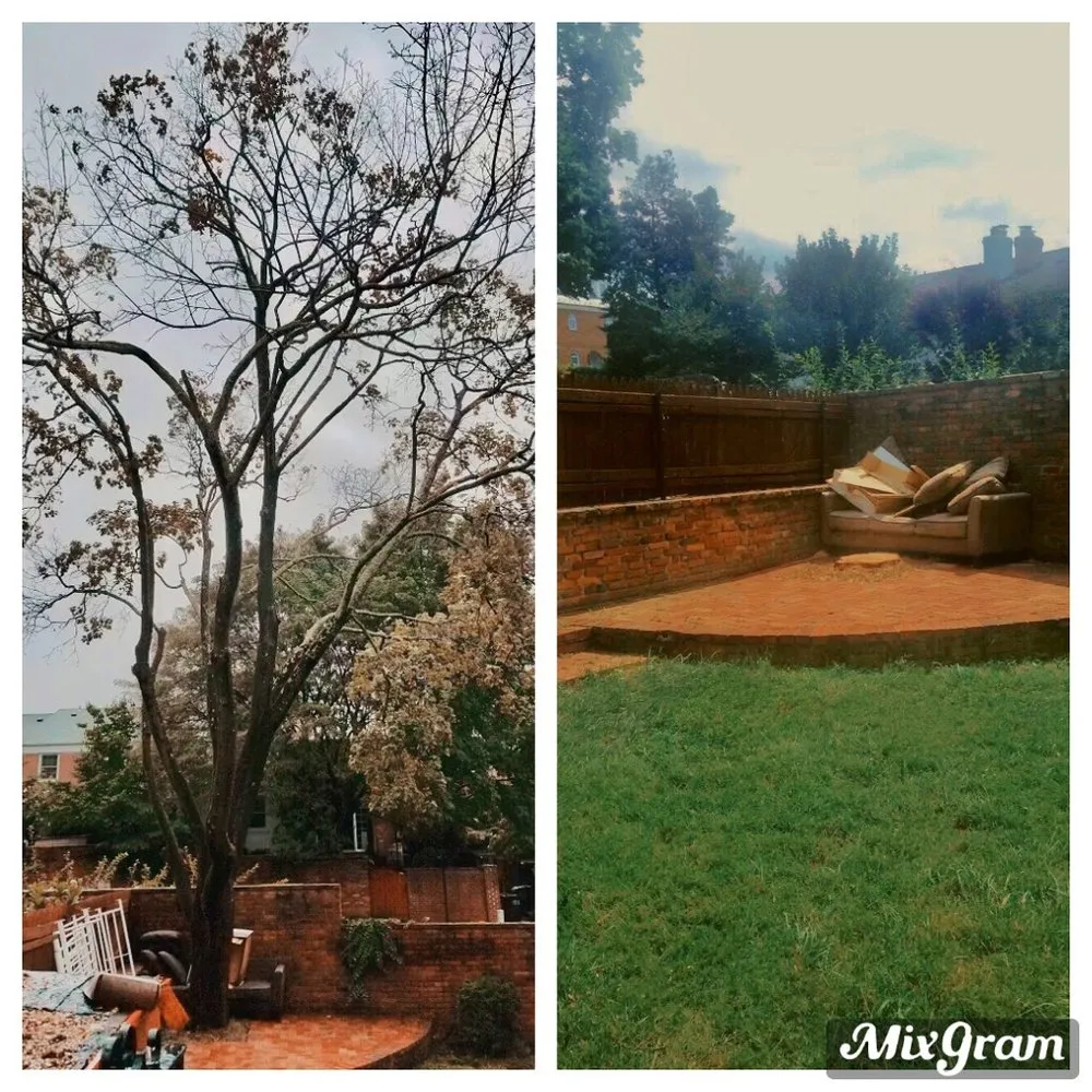 Custom outdoor landscaping experts serving Sterling, VA - ADM Tree Services