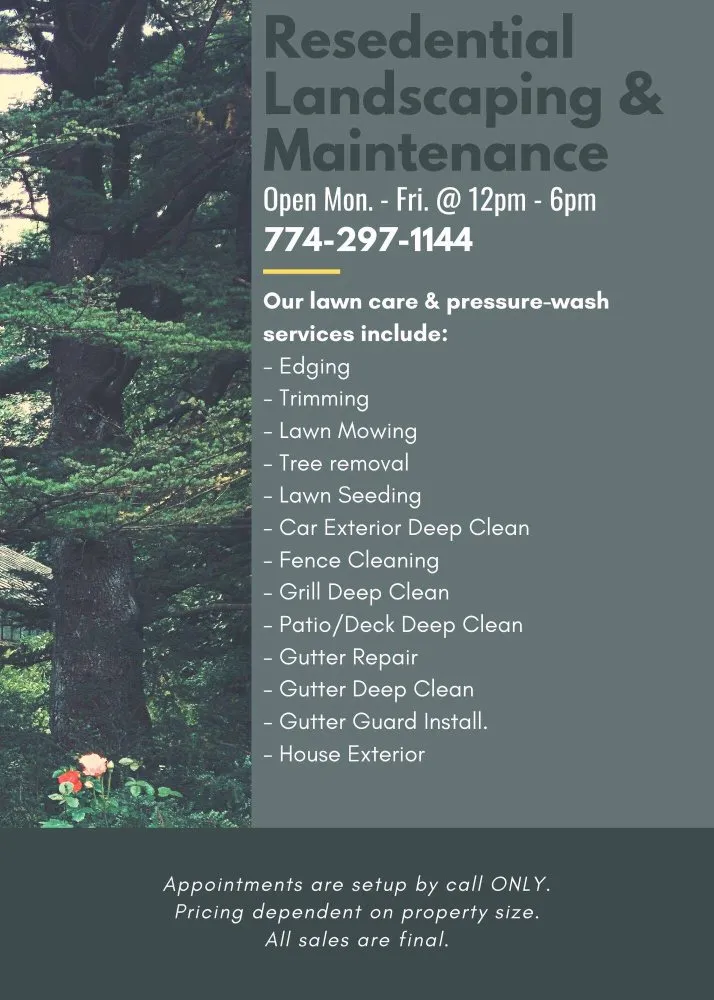 Local yard cleanup service in Brockton, MA - Admilson Depina