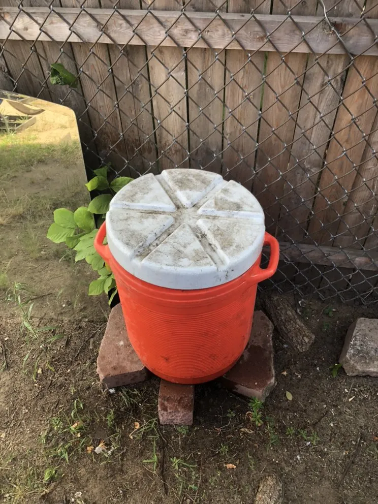 Trusted residential landscaping in Brockton, MA - Admilson Depina