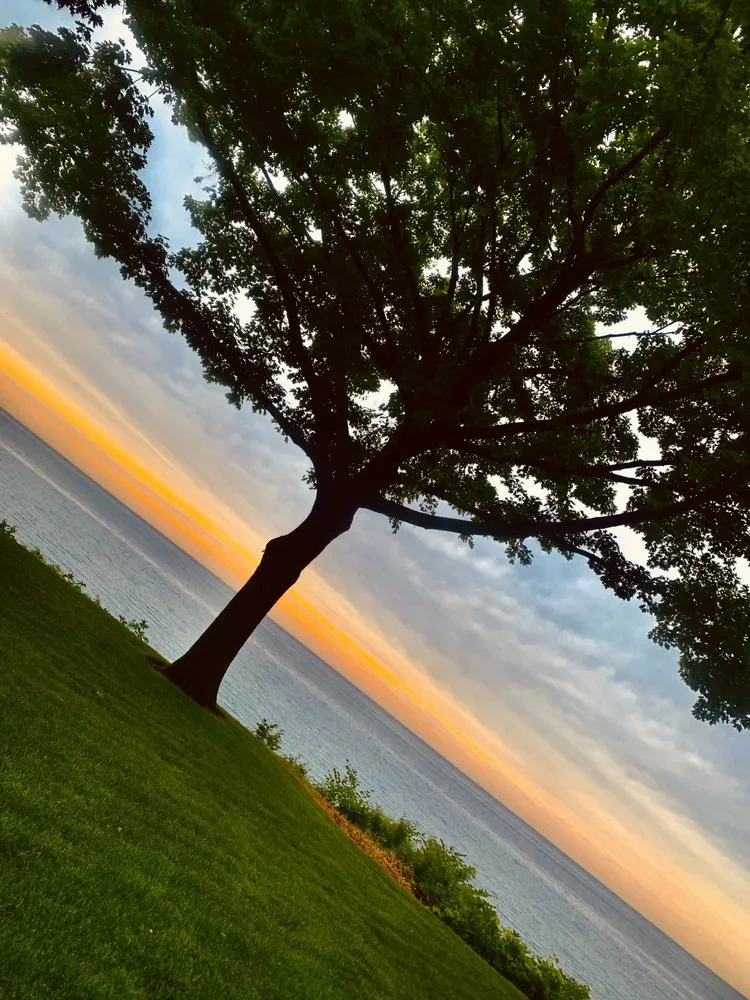 Reliable yard cleanup service experts serving Waukegan, IL - Admirable landscape