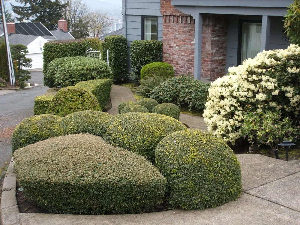 Trusted garden landscaping experts serving Portland, OR - Admirable Landscapes