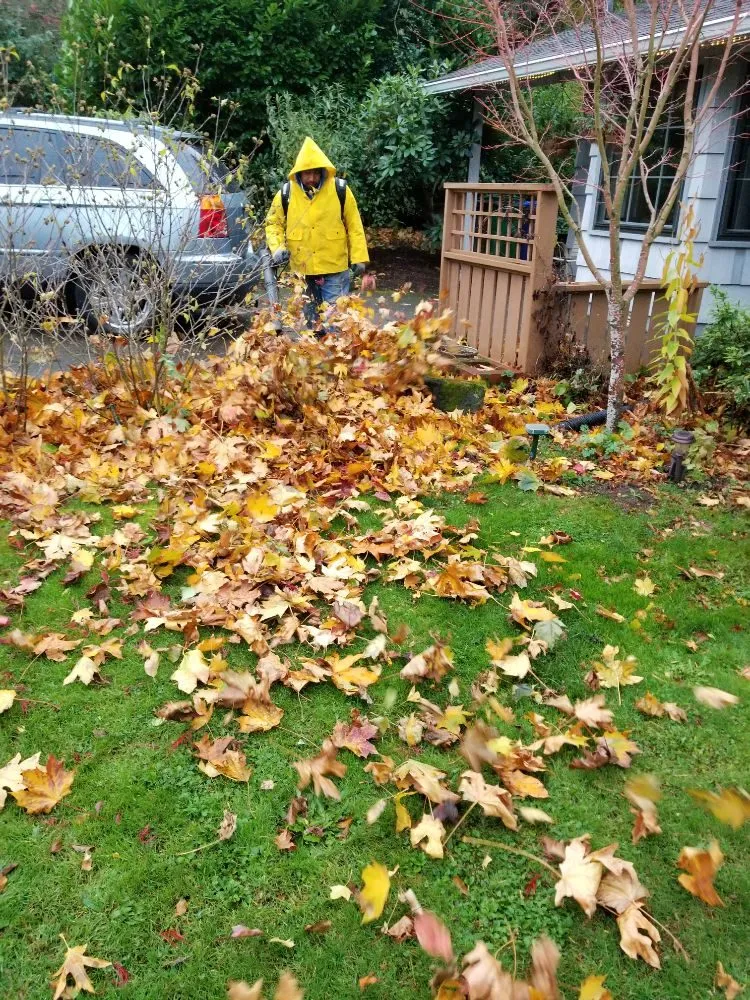 Local landscape design experts serving Portland, OR - Admirable Landscapes