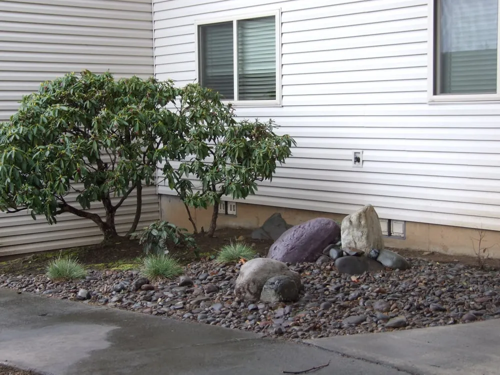 Local yard maintenance for year-round maintenance across Portland, OR - Admirable Landscapes